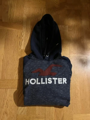 Vintage Hollister hoodie - Säljer denna sjukt feta vintage Hollister hoodien. Denna är extremt eftertraktad och säljs inte längre. Strl M och har en en fet passform. Tveka inte att fråga vid minsta fundering🌟