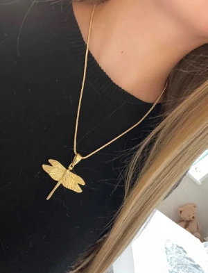 Ioaku halsband - Säljes då det inte kommer till användning 