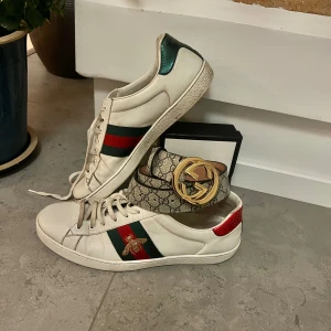 Gucci skor BÄLTE MEDFÖLJES - Säljer nu ett par feta Gucci Ace skor i storlek 46🥰😎 Skicket på skorna är bra, inget defekt men lite smutsiga här o där. Inget som inte en disksvamp och 10 min vid handfatet kan fixa😜GG bälte MEDFÖLJDES, jag har box till och tror att det är äkta men kan ej garantera äkthet på bältet. Om ni bara vill ha skorna är priset 1899 KR. Om ni bara vill ha bältet är priset 399 KR