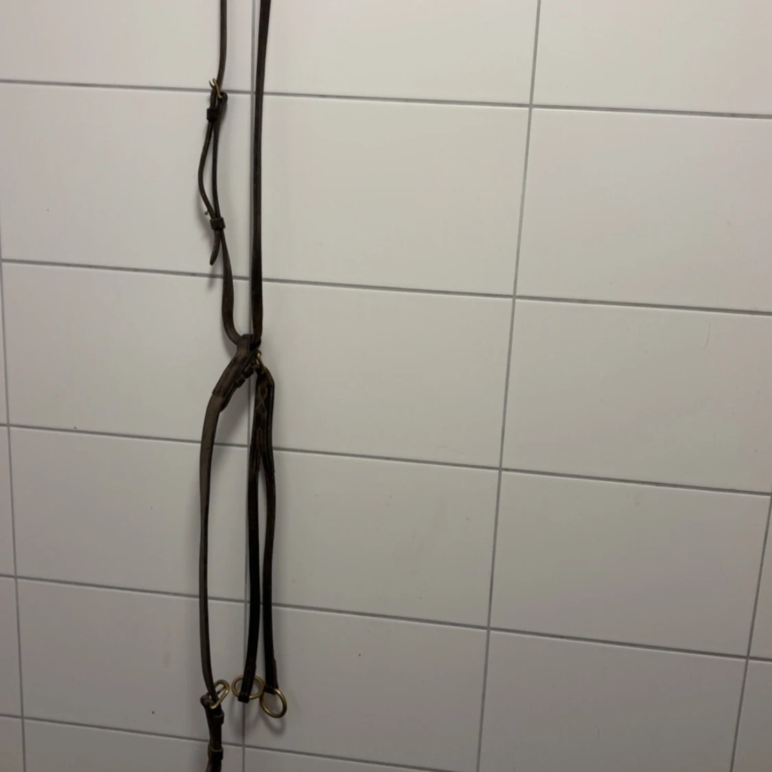 Hästutrustning - Träns, bett och schabrak och täcken  - 1