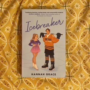 Icebreaker - Hannah Grace