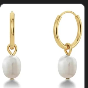 Edblad Perla Hoops guldörhängen - Snygga guldpläterade hoops från edblad. Använda minst 1 gång och är som nya. Nypris 349kr. Tveka inte vid frågor❣️