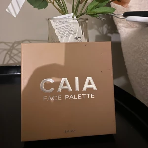 CAIA Face Palette Sassy - Snygg face palette från CAIA i färgen Sassy. Paletten innehåller fyra puder: en matt contour i beige, en peachy bronzer, en rosa blush och en skimrig highlighter i champagne. Perfekt för att skapa en fräsch och glowig look. Kommer i stilren beige förpackning med spegel. Helt ny!!! 