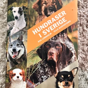 Hundraser i Sverige - Upptäck alla hundraser som finns i Sverige! Boken är full av färgstarka bilder och intressant fakta om varje ras, perfekt för dig som älskar hundar eller funderar på att skaffa en. Lättläst och inspirerande för unga hundentusiaster.