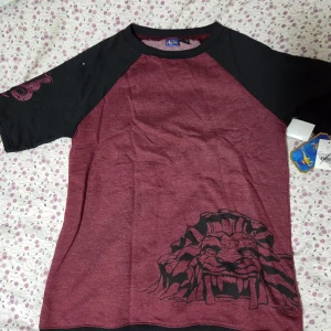 Aladdin t-shirt med tryck - Snygg t-shirt från Disney Aladdin i vinrött och svart med coolt tryck av en lejonstaty på framsidan och en kobramotiv på ärmen. T-shirten har raglanärmar och är gjord i mjuk bomull. Perfekt för dig som gillar unika prints och Disney.