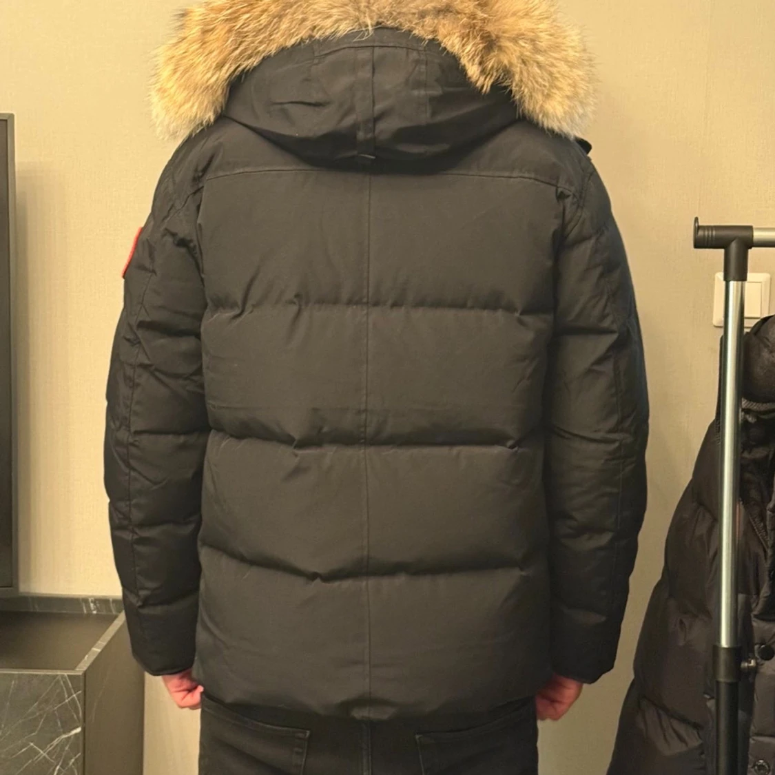 Svart Canada Goose  - 2