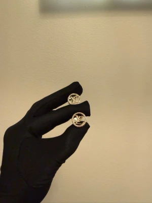 Lv örhängen  - Rostfritt stål