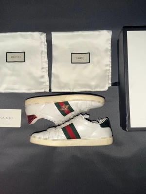 Gucci ace skor - Bra skick, lite smutsiga, box och dustbags ingår