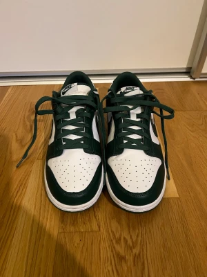 Nike sportswear Dunk-retro  - Ett par grön vita Nike sportswear Dunk-retro, i storleken 44. Bara använda en gång 