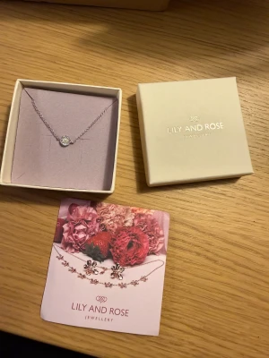 Helt ny Lily and Rose armband - Helt ny och oanvänd Lily and Rose armband, i modellen Petite miss sofia pearl armband – crystal silver. Köpt för 349 kr på Åhléns. 