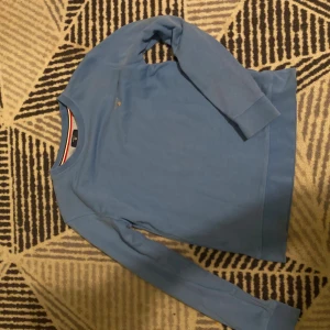 Blå sweatshirt från GANT - Säljer en stilren blå sweatshirt från GANT med rund halsringning och diskret logga på bröstet. Tröjan har långa ärmar och breda muddar vid ärmslut och nederkant. Perfekt för en chill och snygg look.