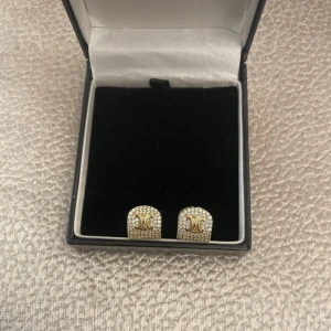 Örhängen - Boxen på bilden ingår ej annan box ingår