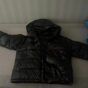Svart pufferjacka från Ardent & Ash - Säljer en svart pufferjacka från Ardent & Ash med glansig finish och huva. Jackan är vadderad och har långa ärmar samt dragkedja framtill. Perfekt för kalla dagar när du vill hålla stilen och värmen.