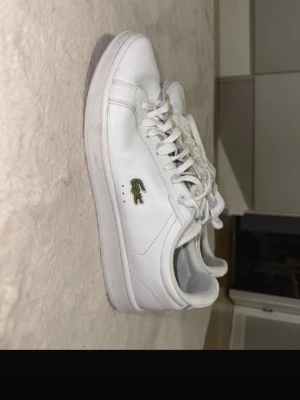 Vita sneakers från Lacoste i skinn - Säljer ett par klassiska vita sneakers från Lacoste i skinn med snörning. Skorna har den ikoniska gröna krokodilen på sidan och Lacoste-logga på plösen och hälen. Stilren design med rund tå och platt sula, perfekta till jeans eller shorts. Passar 