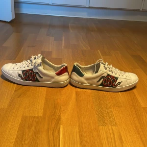 Gucci Ace Snake - Säljer ett par riktigt fräscha Gucci ace snakes. Uk 10,5 vilket motsvarar storlek 44! Fast pris:1649kr! Nypris: 5000kr+! Varit hos skomaker så riktigt fina! Ingår: endast skorna. Självklart äkta! Fråga om innermått vid osäkerhet. Kom även privat vid minsta fundering. Fraktar spårbart. Perfekt skor för hösten och början av våren. 