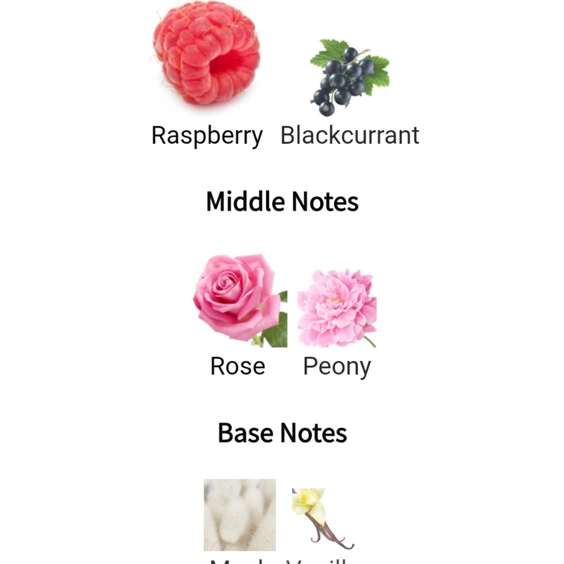 La Charmante Eclatant  - 2