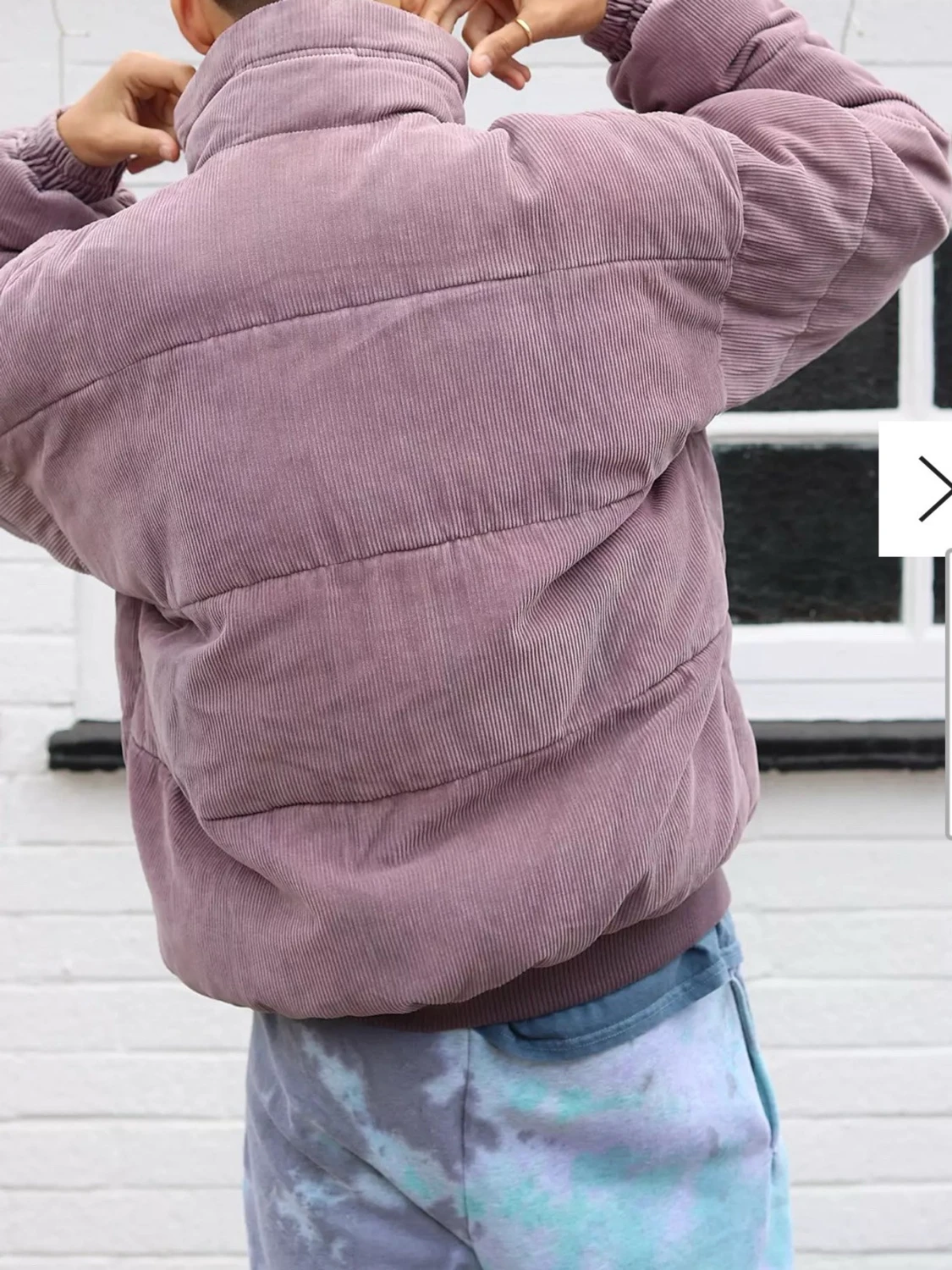 Ljuslila pufferjacka  - 1