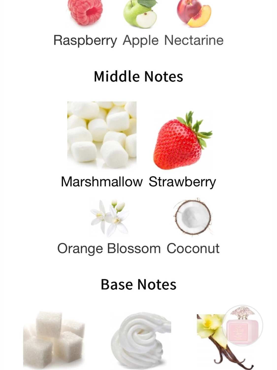 Shams Al Emarat Pink Blush - 3