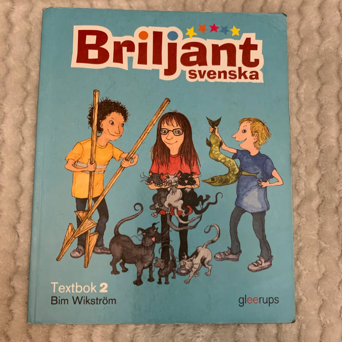 Briljant svenska Textbok 2