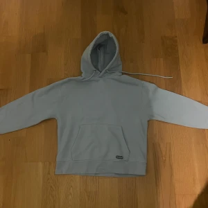 Ljusblå hoodie från Pull&Bear - Fin ljusblå tröja från pull & Bear.                                            Använd sällan fint skick                                                        Pris kan diskuteras!