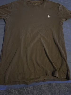 Svart t-shirt från Polo Ralph Lauren - Klassisk svart t-shirt från Polo Ralph Lauren med den ikoniska broderade loggan på bröstet. T-shirten har rund hals och korta ärmar, perfekt för en clean och stilren look.