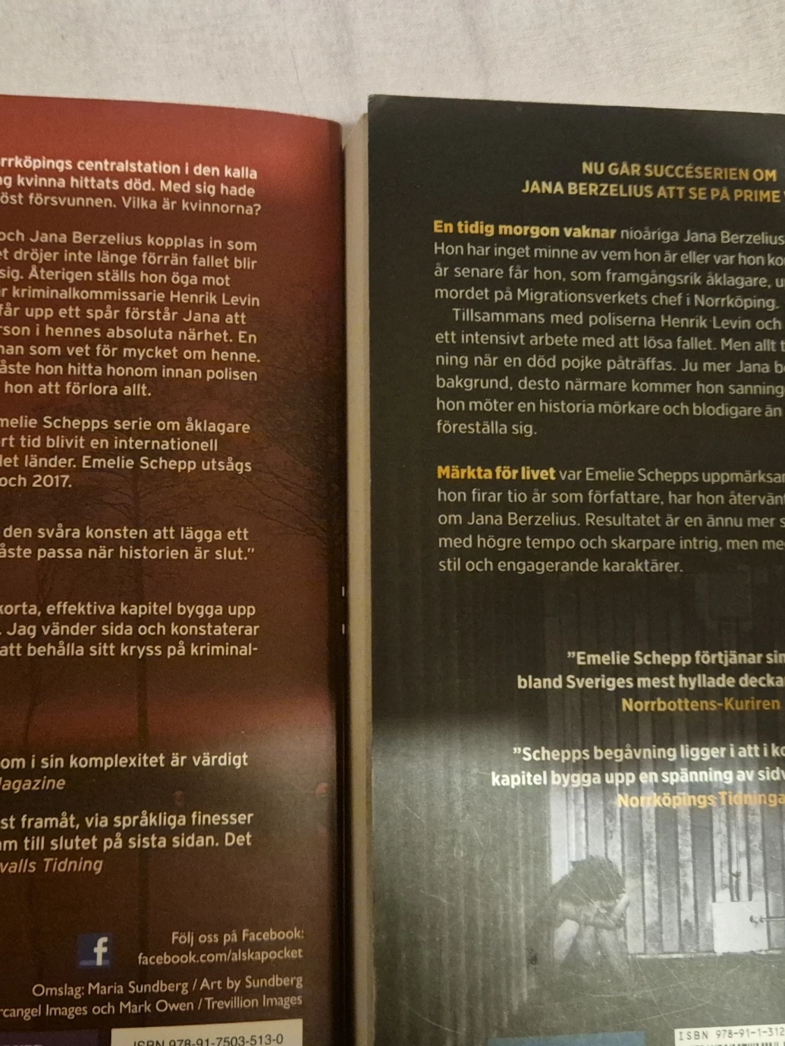 Två kriminalromaner av Emelie Schepp - 4