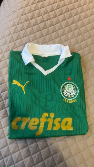 Grön Palmeiras matchtröja Puma - Snygg grön matchtröja från Palmeiras med vit krage och gula detaljer. Puma-logga på bröstet, klubbmärke och texten 'S.E.P 110 anos'. Stort nummer 10 och 'Palmeiras' i gult på ryggen. Tillverkad i lätt och ventilerande material, perfekt för fotboll.