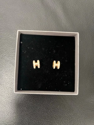 Guldiga H örhängen  - Superfina örhängen med ett H på rostfria 