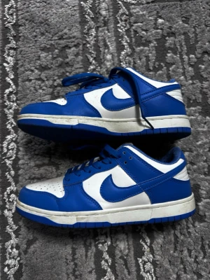 Nike skor  - Använd några gånger. Jag är öppen för bud så kom med bud 