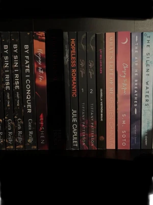 By Sin I Rise, By Fate I Conquer, From Blood and Ash, Hopeless Romantic, Love Me Like You Do, If I Let You Go, What's Left of Me, Chasing the Moon, The Air He Breathes, The Silent Waters - Priset varierar beroende på bok och dess kvalitet🌸