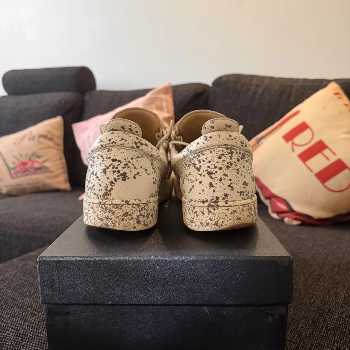 Giuseppe zanotti  - 2