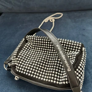 Alexander Wang bag  - Bought it in vinted, there is no logo inside the bag, only outside, that’s why the price. Never used completely new. 