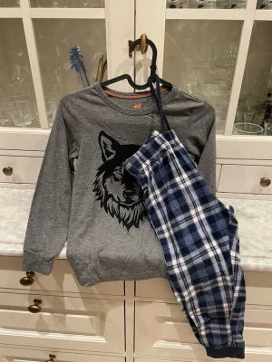 Grå pyjamas med vargmotiv från H&M - Storlek 122/128. Tvådelad pyjamas från H&M med en grå långärmad tröja som har ett stort svart vargmotiv på bröstet och ett par blåvitrutiga byxor med resår i midjan. Använt skick, tröjan noppig men byxan i fint skick.