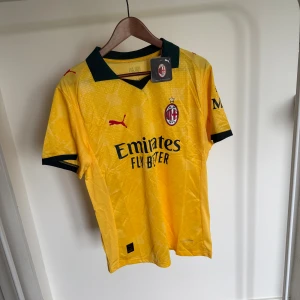 AC Milan 25/26 matchtröja Puma M - AC Milan fotbollströja från Puma i gul färg med mörkgrön krage och detaljer. Tröjan har korta ärmar, broderat klubbmärke och Puma-logga i rött. Materialet är lätt och andas, perfekt för träning eller match. Snyggt mönster i tyget och tryckta sponsorer på bröst och ärm.