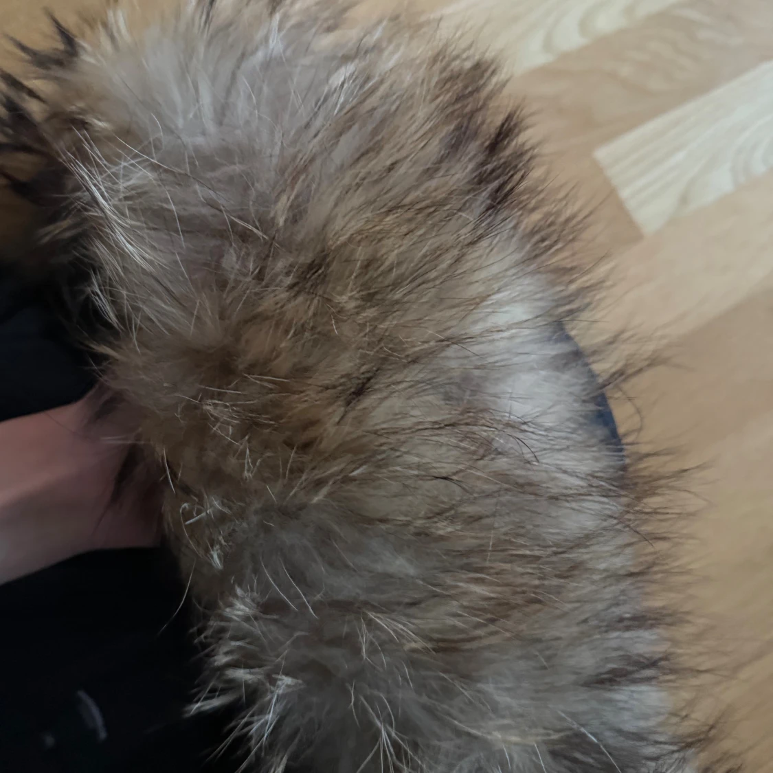 Svart pufferjacka Rockandblue med riktig päls  - 4