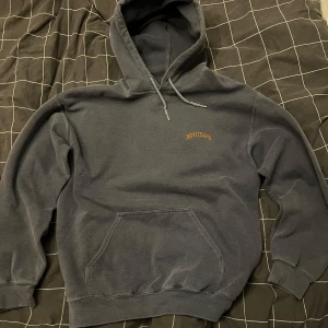 Ljusblå hoodie från BDG - Säljer en ljusblå hoodie från BDG. Den är väldigt skön och tunn.