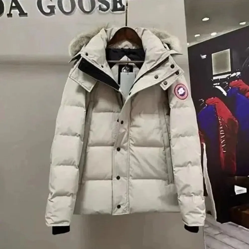 Säljer en snygg och varm dunjacka från Canada Goose med pälsdetaljer på huvan. Jackan finns i flera färger: svart, blå, grå och vit. Perfekt för kalla vinterdagar med sin quiltade design och långa ärmar. Den har både dragkedja och knappar för extra skydd mot kylan. Passar lika bra i stan som på fjället!. Jackor.