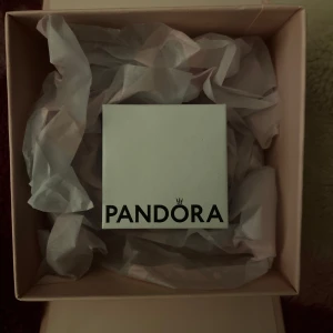 Pandora ring  - Jätte fin Pandora ring. Aldrig använd. Storlek 14,5. Äkta med kvitton.  Pris kan diskuteras! 