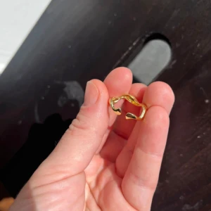 Guldpläterad ring med tvinnad design - Säljer en snygg guldpläterad ring med en unik tvinnad design från cille juveler. Perfekt för att ge din outfit en elegant touch. Ringen är justerbar och passar de flesta storlekar. Perfekt för både vardag och fest! ✨