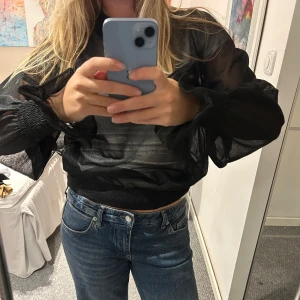 Svart transparent blus - Säljer en superfin svart transparent blus med långa ärmar. Den har en loose passform och är perfekt för festliga tillfällen. Ärmarna har en snygg volangdetalj vid mudden.