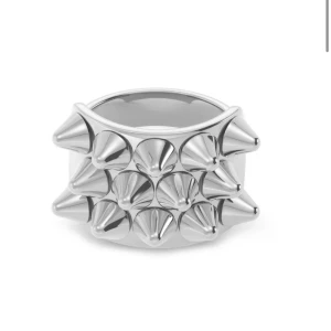 Silvrig ring med nitar - Jätte fin edbladring som bara är använd få tal gånger ❤️