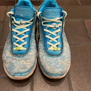 Blå Nike sneakers - Säljer ett par Lebron 20 All-Stars som jag tröttnat på. Köpta på Nike Store New York förra året och är i ett väldigt bra skick. Skicket är i 8/10 och har väldigt bra grepp. Ny pris 3900 kr mitt pris 2700 kr