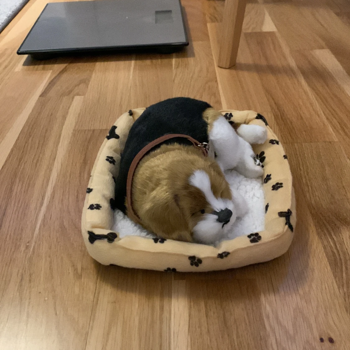 Söt leksakshund från Sweet Pets