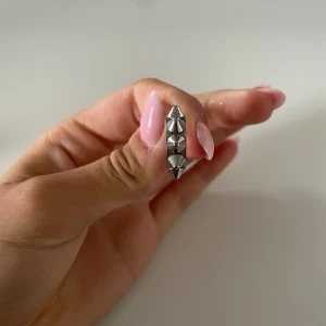 Örhängen  - Snygga örhängen som inte kommer till användning eftersom jag har börjat med guld pris kan såklart diskuteras