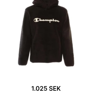 Champion hoodie - Helt ny Storlek S