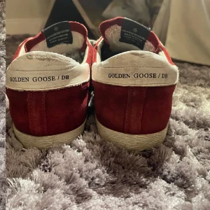 Golden goose  - Fina golden goose