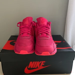 Nike air Max  - Ett par super sköna Nike air Max, som inte finns så många av i den färgen. De är använda men ser fresha och sköna.