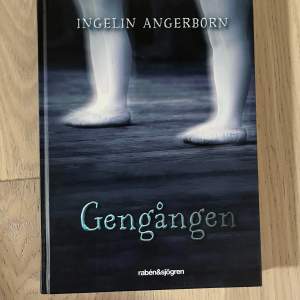 ”gengången” skriven av ingelin angerborn. en spännande bok i bra skick! 