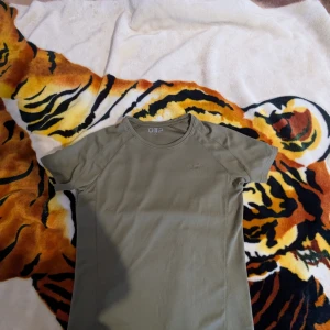 Olivgrön t-shirt från O11P - Säljer en olivgrön t-shirt från O11P i storlek L. Tillverkad i 100% polyester, perfekt för träning eller vardagsbruk. T-shirten har en enkel design med korta ärmar och rund halsringning.