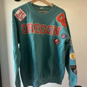 Urban Outfitters  - Söker den här Urban outfitters tröjan skriv gärna om ni kan tänka er att sälja😊